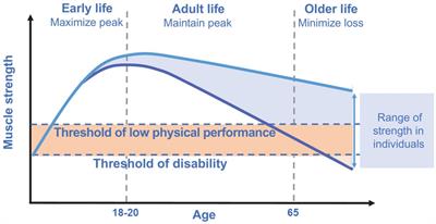 Omega-3 polyunsatured fatty acids and physical performance across the lifespan: a narrative review